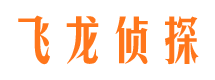 镇安市侦探调查公司